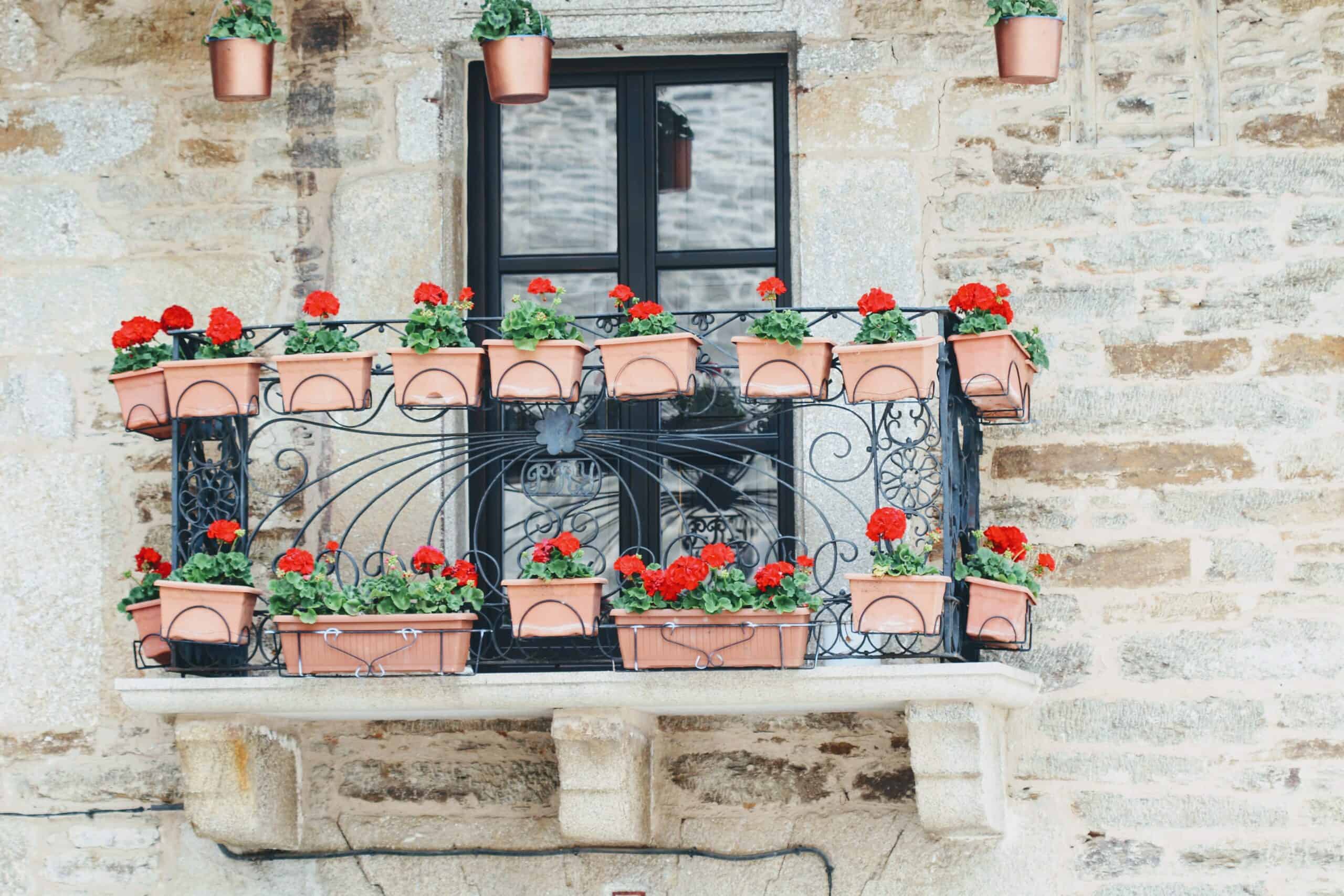 imamo-prijedloge-za-balkonsko-cvije-e-koje-uspijeva-svima-slowliving-hr
