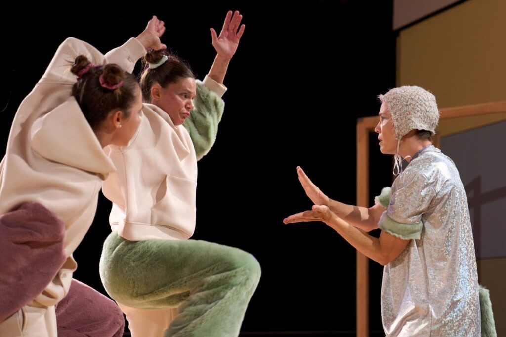 Zorko, Borko i sreća